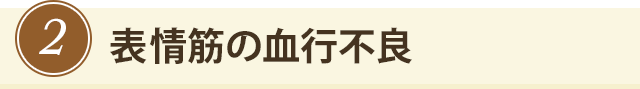 その2 表情筋の血行不良